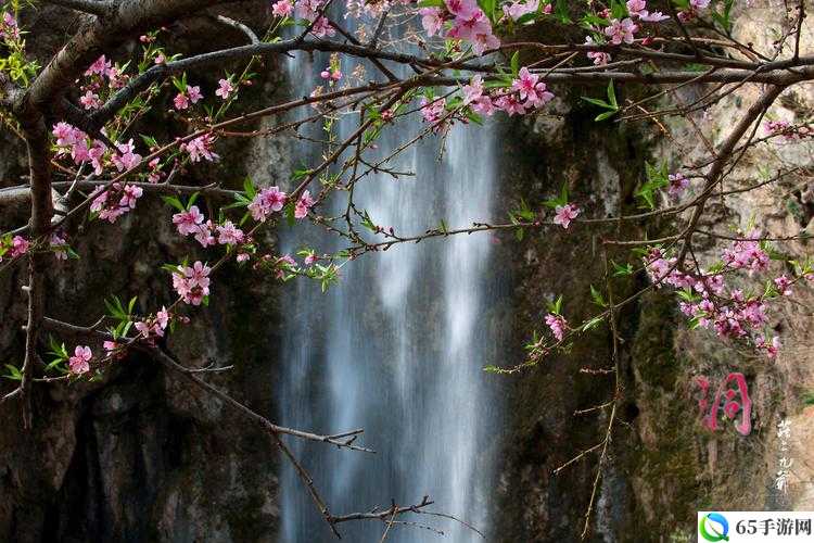 桃花洞口溪水潺潺之变