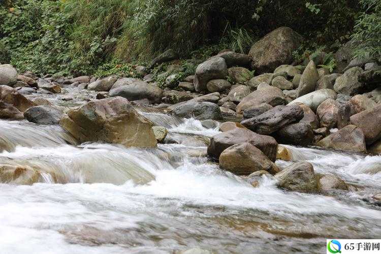 黄龙直捣溪水潺潺：震撼奇景引发的思考