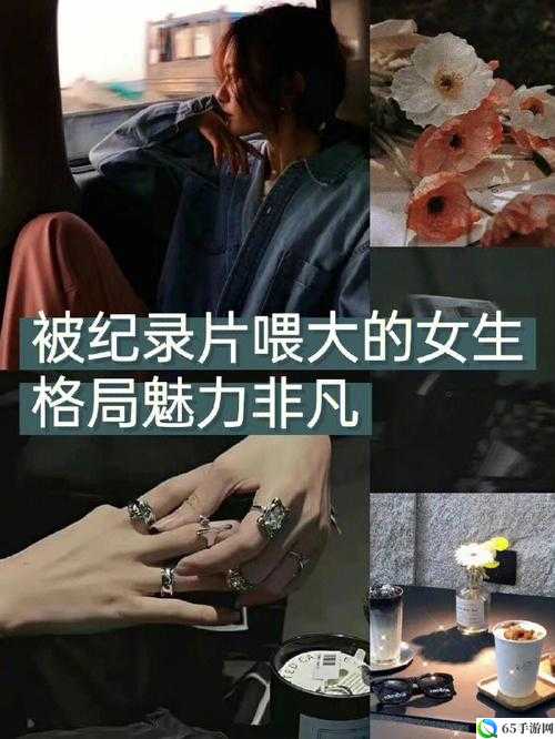 DW成品站成品魅力非凡引黑粉嫉妒：背后的故事与争议焦点