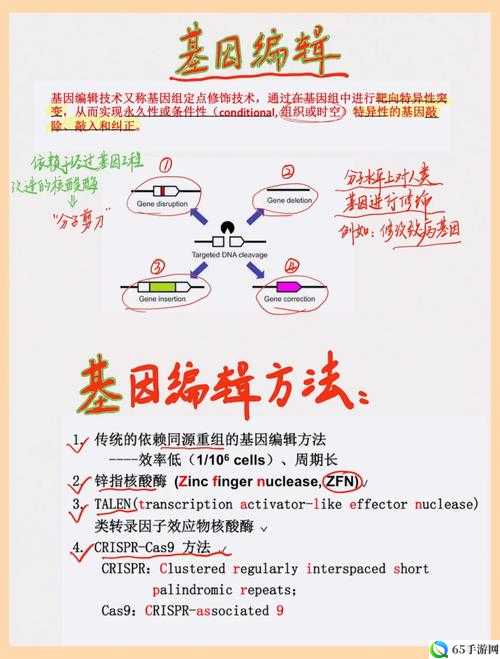 RNA与cDNA杂交：基因编辑技术的新突破点