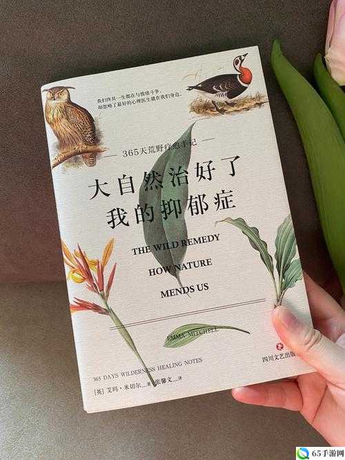 拒绝到沉迷的转变：初尝不适，后续极度舒适之旅