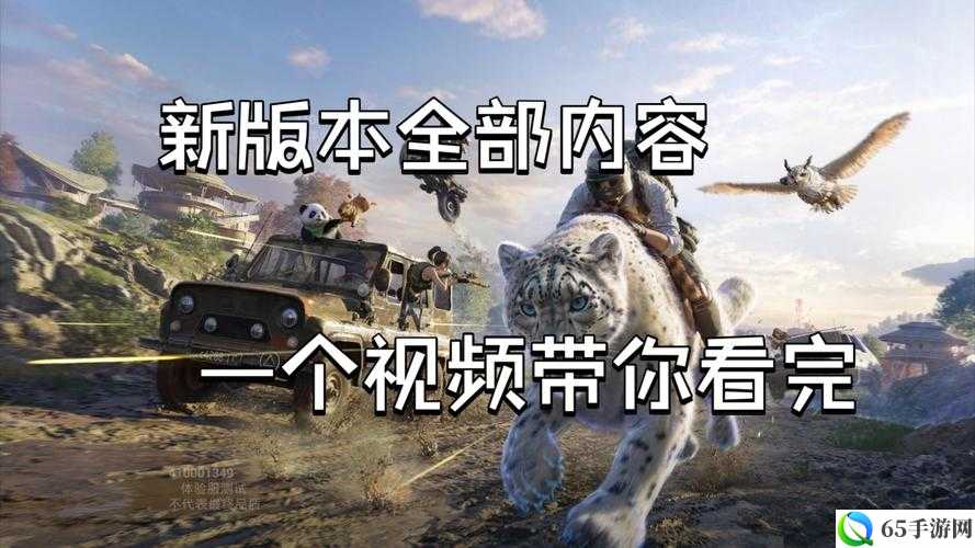 暴躁老阿姨CSGO新手技巧全解析：快速上手，成为战场精英