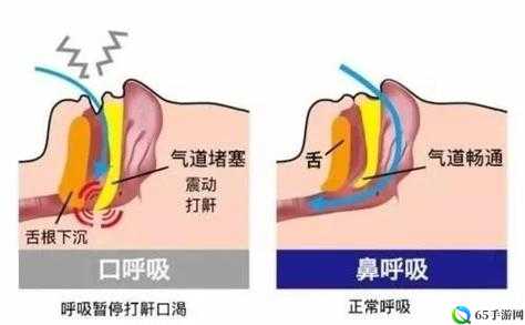 张开你的嘴巴吸进一些空气：探索呼吸的奥秘与健康之道