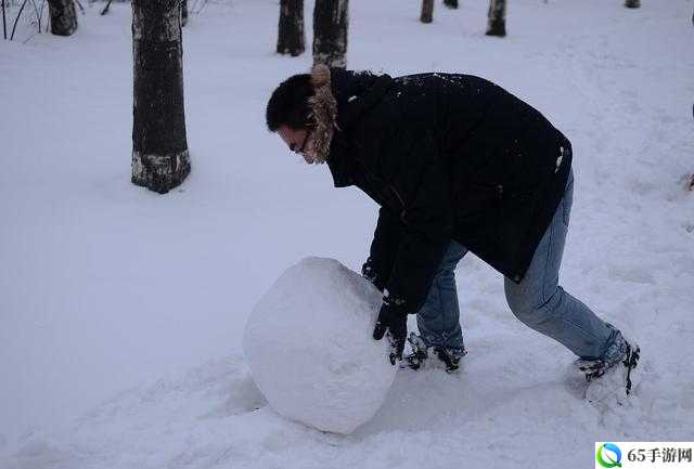 两团雪球快速摇动：意外的浪漫奇观