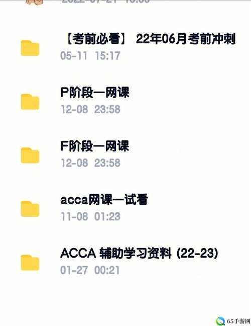 ACCA 少女网课视频：成为财经精英的秘密武器