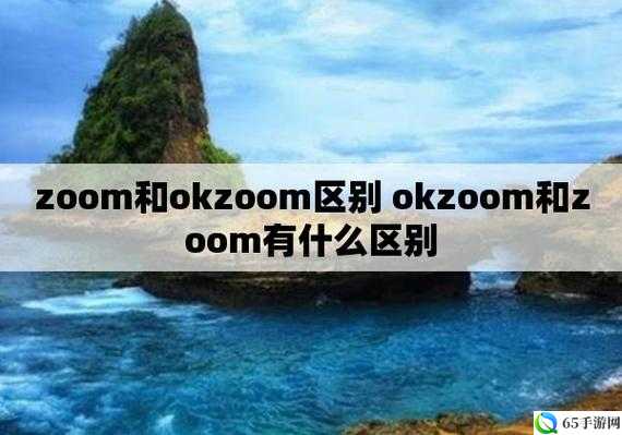 ZOOM 和 OKZOOM 有何区别？