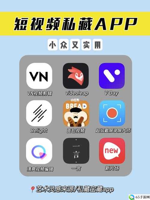 成品禁用短视频app下载：背后的真相与应对策略