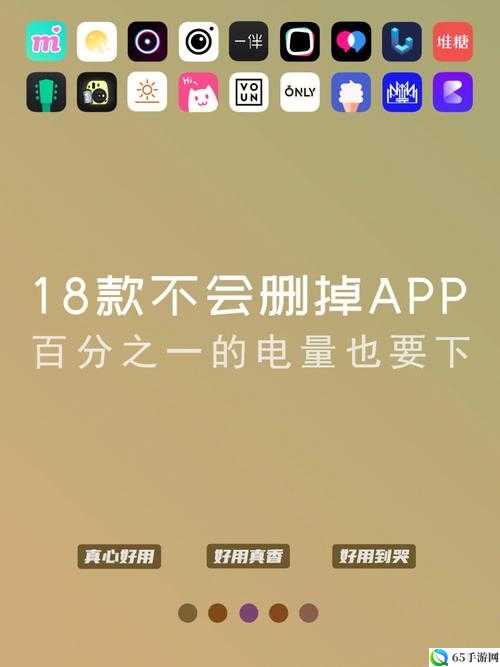 夜里 18 款禁用软件 APP 功能全解析