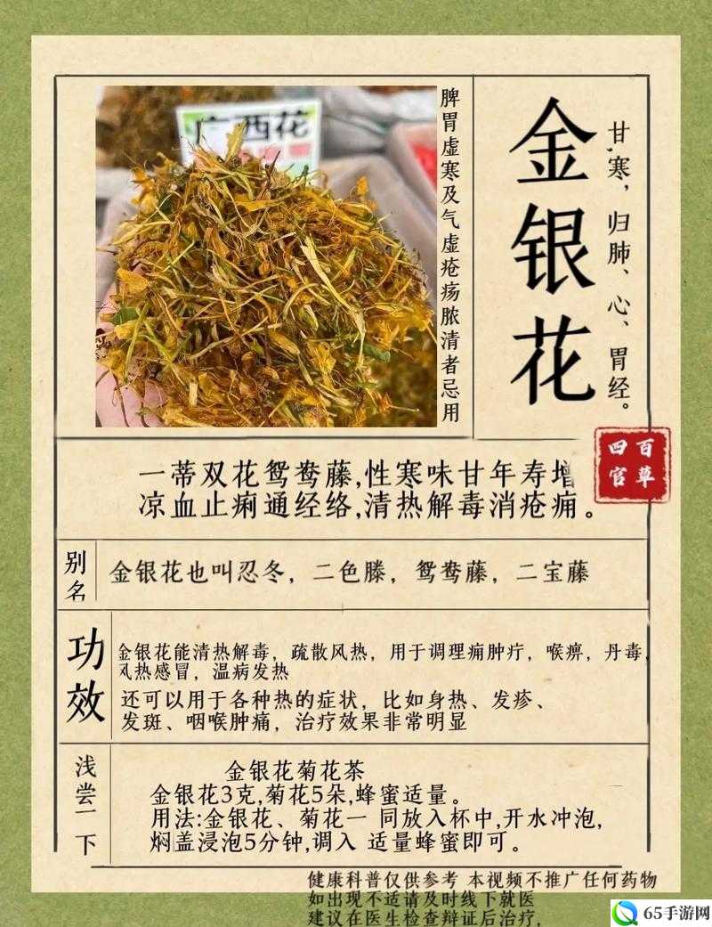 双管齐下金银花的独特功效与作用