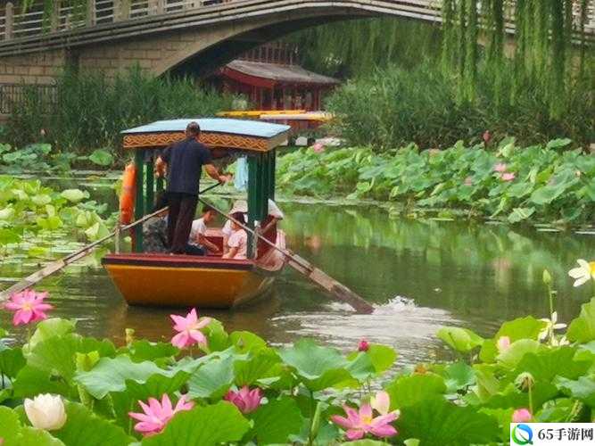 老人在船上弄雨荷是否美妙