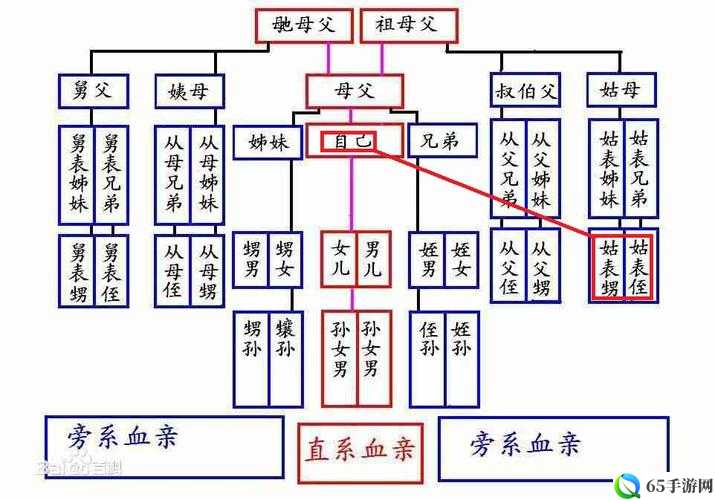 全家乱小说人物关系图：父亲、母亲、儿子、女儿等