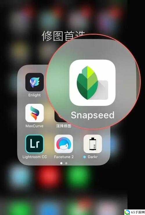 Snapseed调整图片属性指南