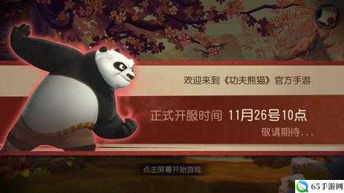 功夫手游IOS版登录问题与解决方案