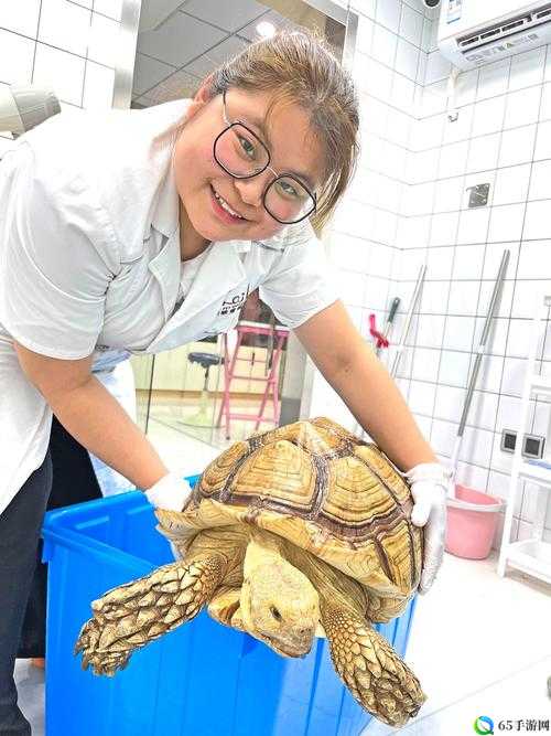 守护者们的宠物冒险之旅：梦想的远行