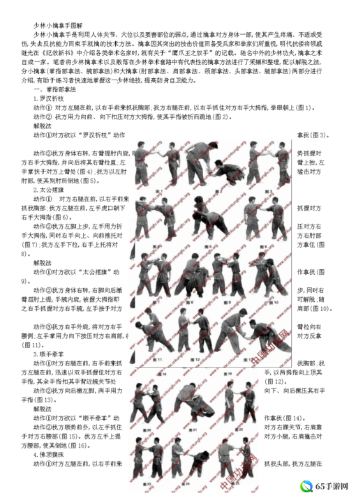 武学中的少林徒手套路：深度解析其种类与特点