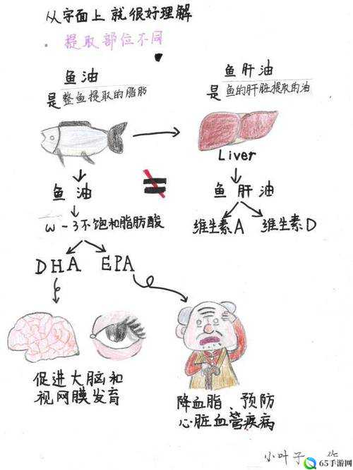 舰姬技能全揭秘 深海之旅开启