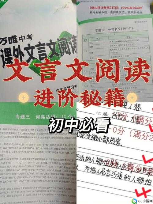 江湖荒真决学习方法