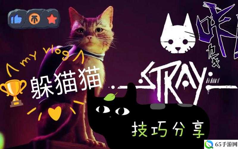 迷失躲猫猫成就攻略分享