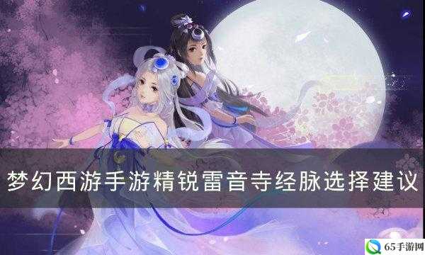 精锐雷音寺经脉解析及选择指南