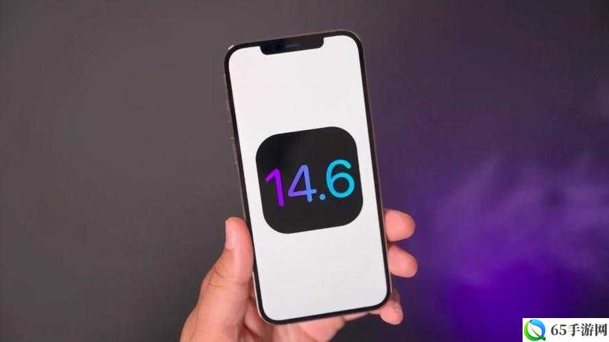 苹果系统 iOS14.6 全新登场