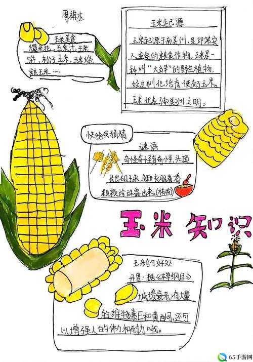 农作物种植攻略：粒粒收获背后的辛劳与智慧