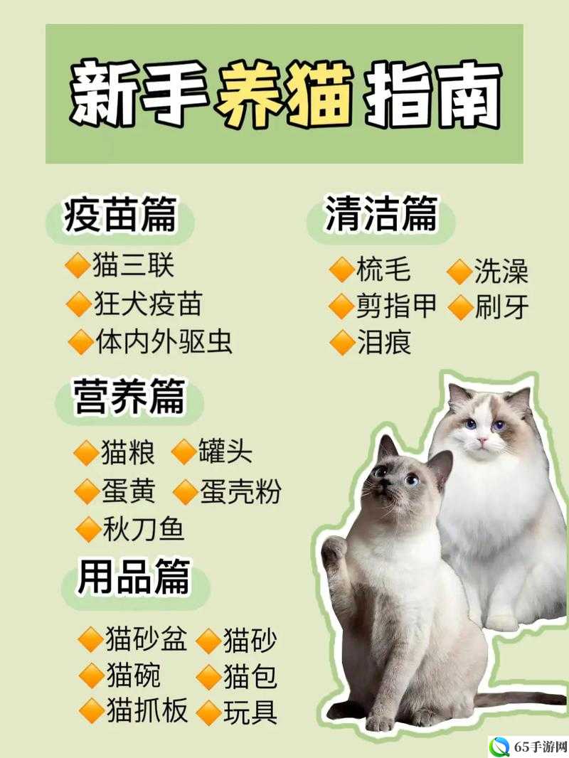 猫之城猫屋培育系统与养猫攻略