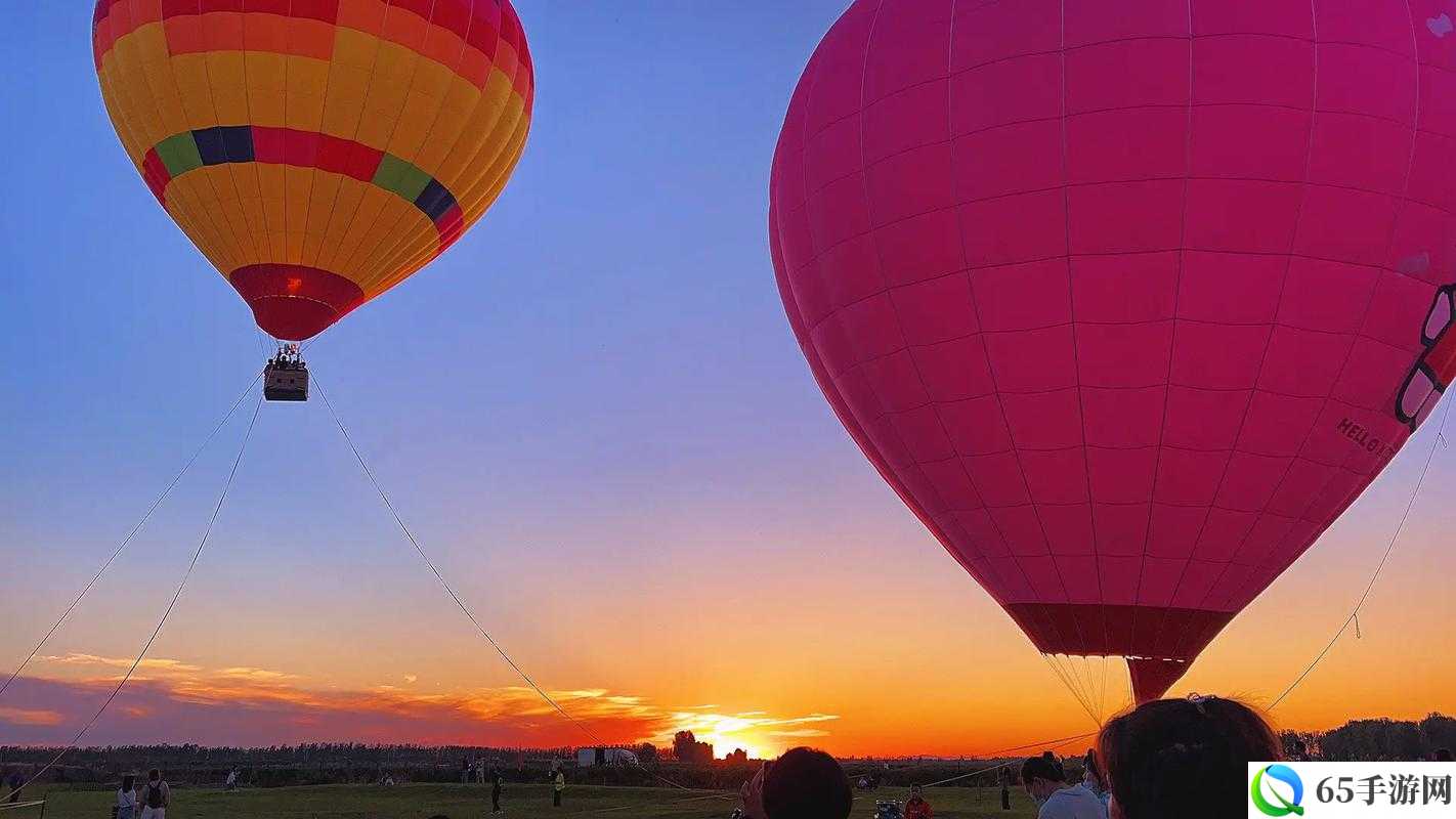 以下供您参考：夕阳余晖下的热气球隐匿阵容推荐与战术分享