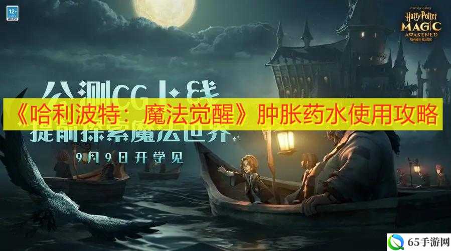 哈利波特魔法觉醒肿胀药水使用技巧