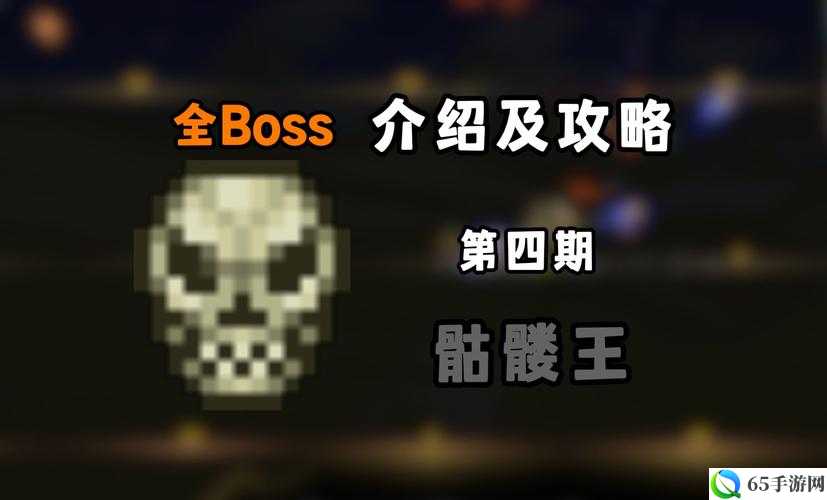 泰拉瑞亚BOSS弱点详解攻略建议：泰拉瑞亚BOSS弱点解析攻略