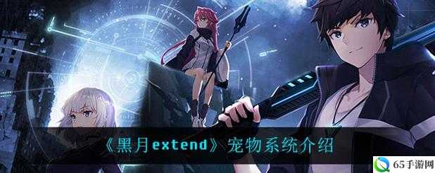 黑月 Extend 宠物技能与玩法指南