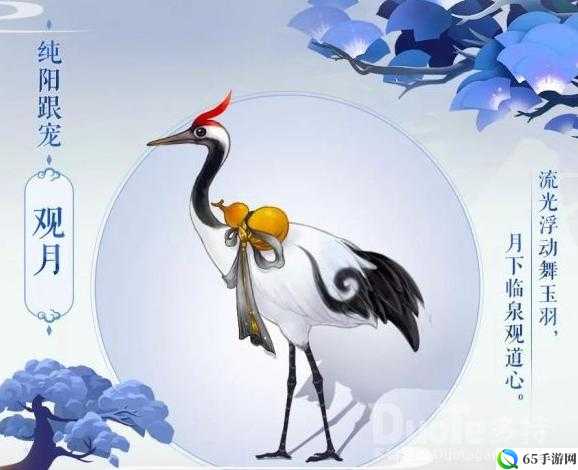 纯阳门下授紫霞功，江湖梦归剑网指尖传