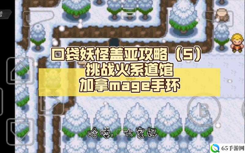 口袋妖怪复刻：火系精灵攻略——实用选择解析