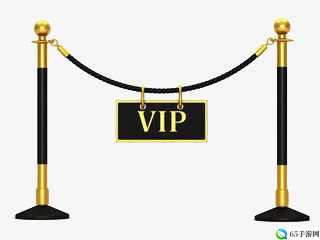 神秘通道 vip5 入口：专属通道开启