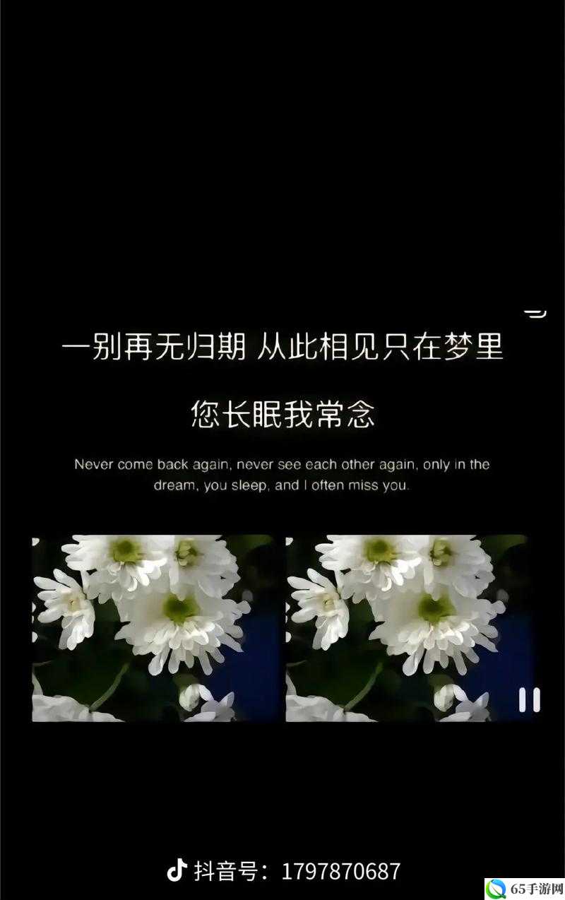 天天想你：今夜无人入睡，只为与你梦中相见