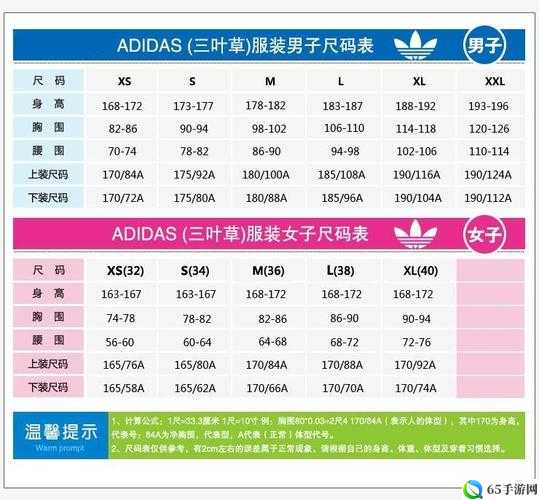 三叶草M码和欧洲码区别：深度解析