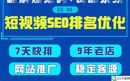 SEO 短视频网页入口网站推广：全新策略来袭