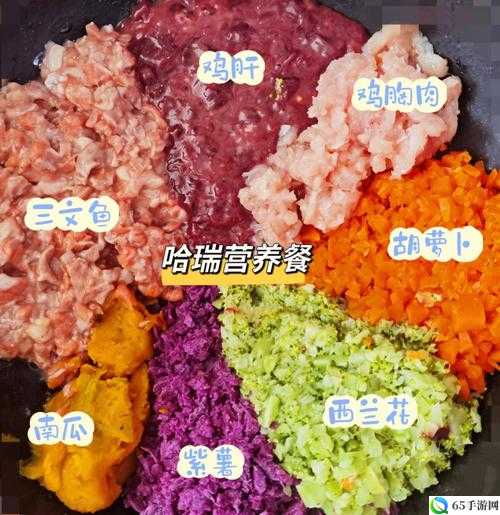 人狗配方大全：营养美味的独特食谱