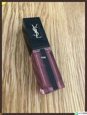 YSL 千人千色 T9T9T90 网页版：时尚美妆的梦幻世界