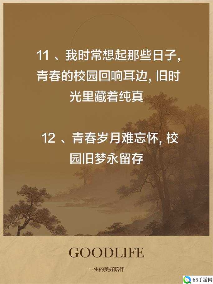 小霜的高中成长日记 9：青春岁月的精彩篇章