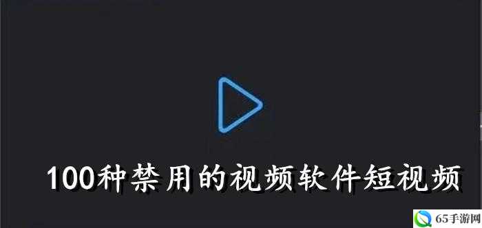 100 种禁用视频软件汇总及相关内容